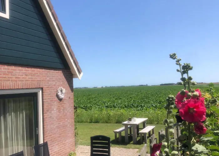 Vrij Uitzicht Texel * De Koog (Texel)